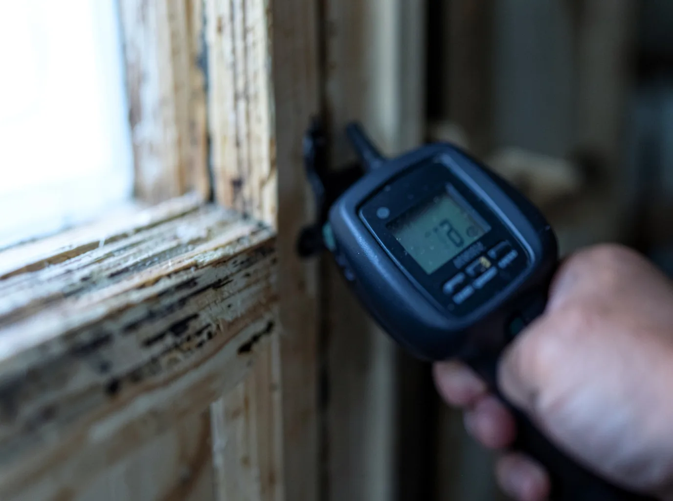 Moisture Inspection And Documentation in Hordville, NE